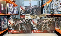 Vì Sao Nên Mua Mô Hình Gundam Chính Hãng Thay Vì Hàng Giá Rẻ?