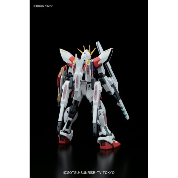 HG BF 1/144 STAR BUILD STRIKE PLAVSKY WING