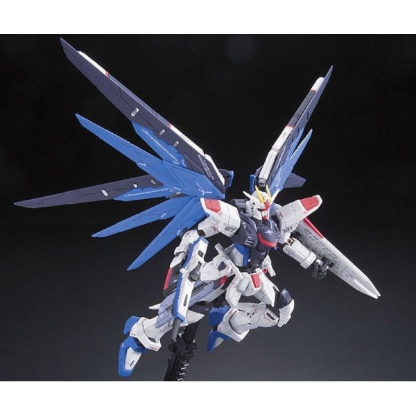RG 1/144 FREEDOM GUNDAM